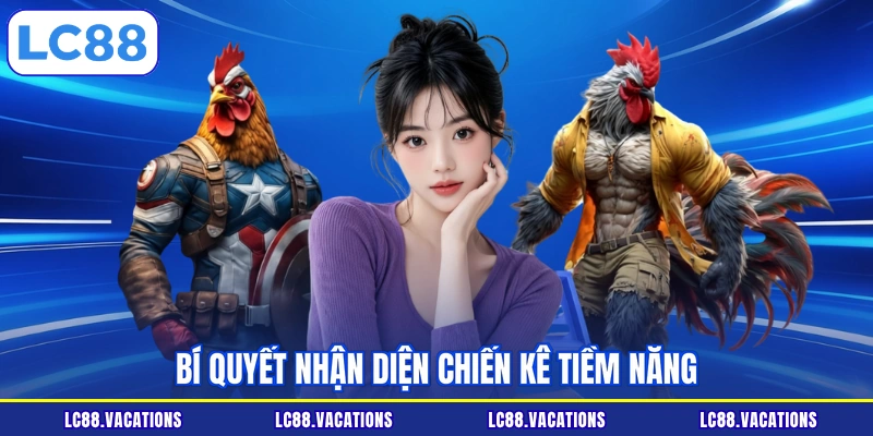 Bí quyết nhận diện chiến kê tiềm năng