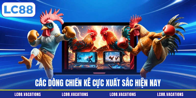 Các dòng chiến kê cực xuất sắc hiện nay