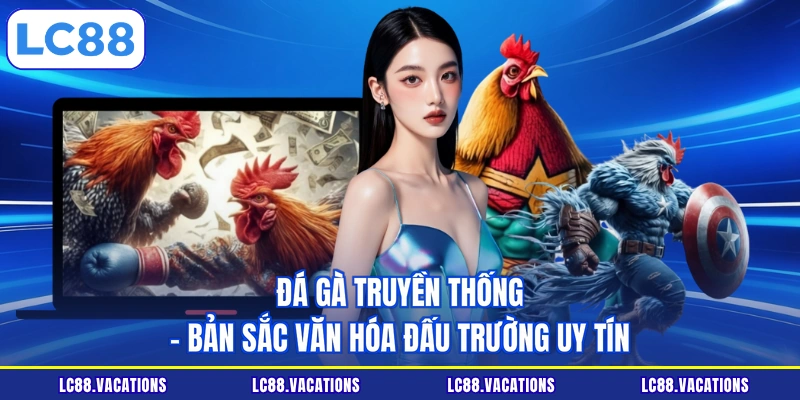 Đá gà truyền thống