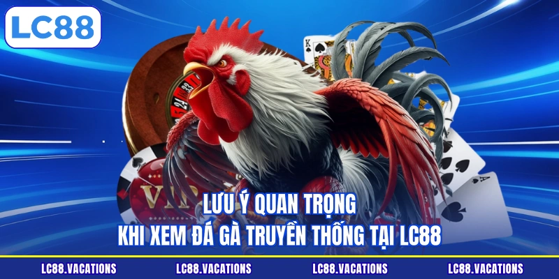 Lưu ý quan trọng khi xem đá gà truyền thống tại LC88