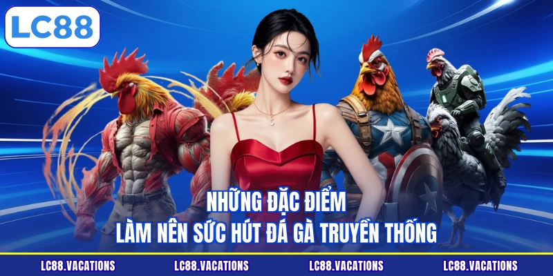 Những đặc điểm làm nên sức hút đá gà truyền thống