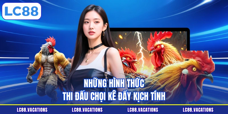 Những hình thức thi đấu chọi kê đầy kịch tính