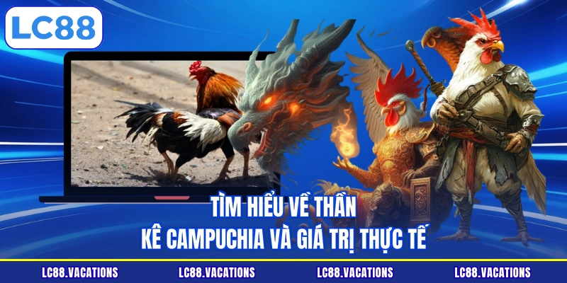 Tìm hiểu về thần kê Campuchia và giá trị thực tế