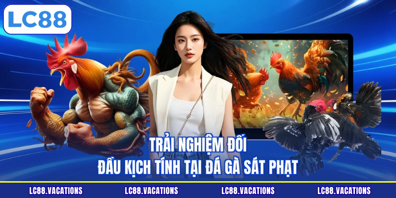 Trải nghiệm đối đầu kịch tính tại đá gà sát phạt