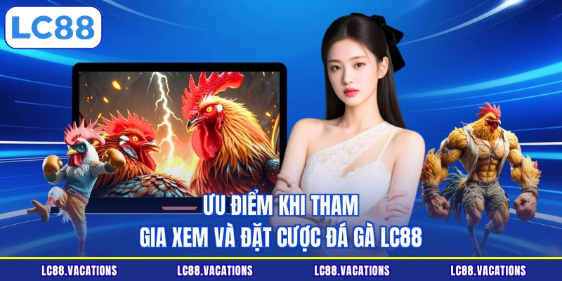 Ưu điểm khi tham gia xem và đặt cược đá gà LC88